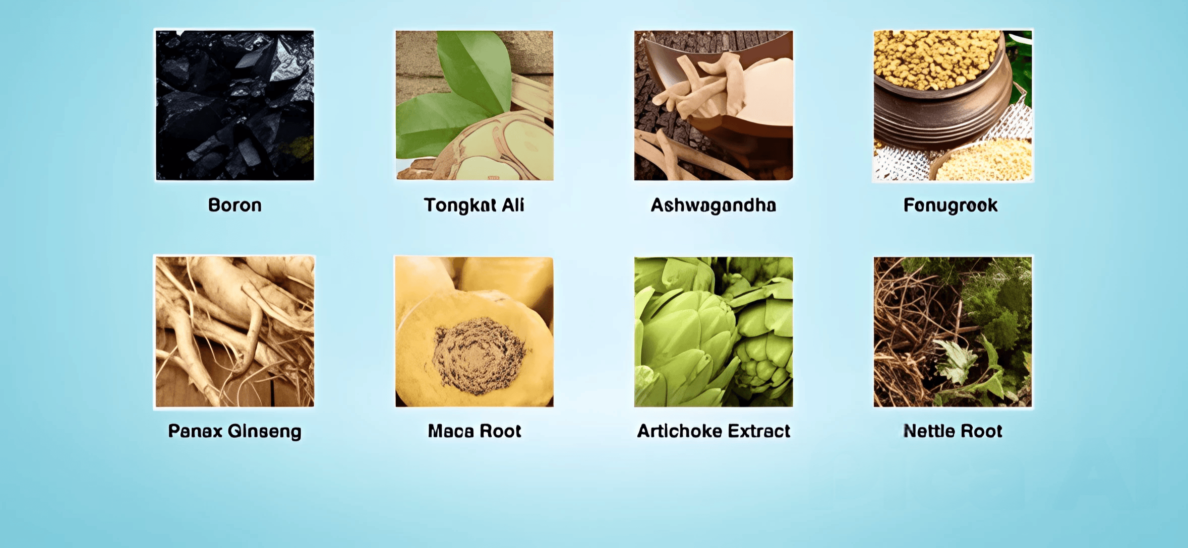prostavive ingredients